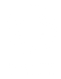 logo girare filmes